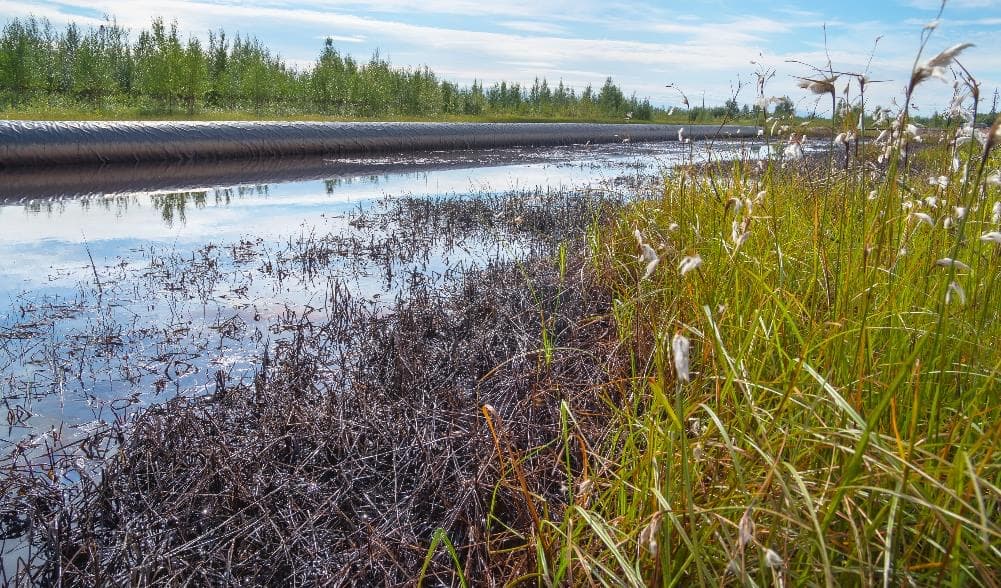 Environmental Solutions